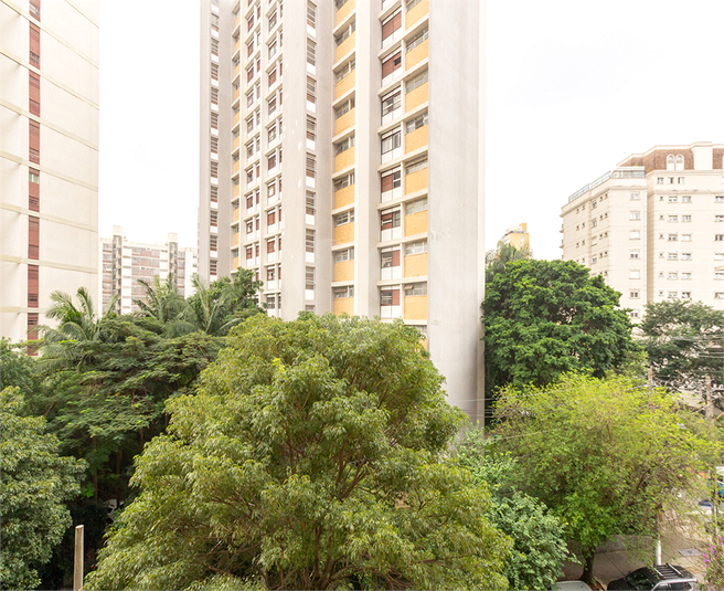 Foto REO1081966