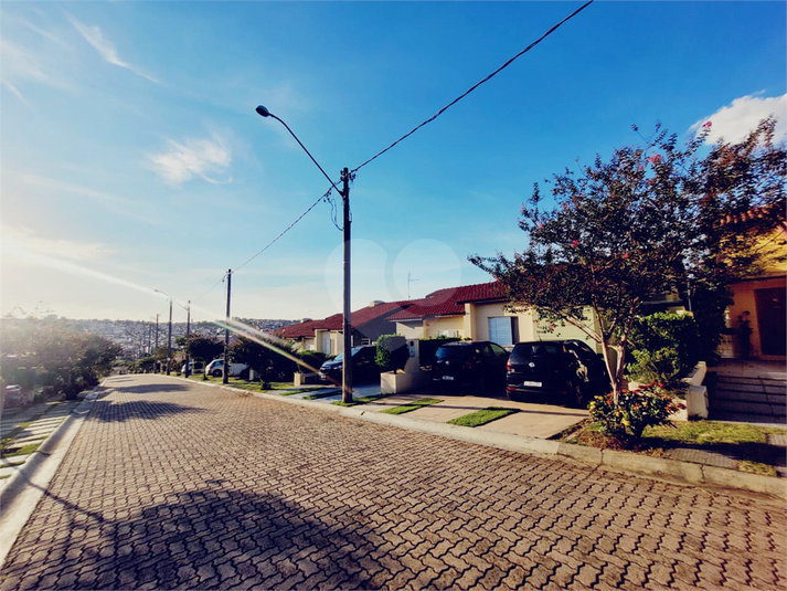 Foto REO1081974