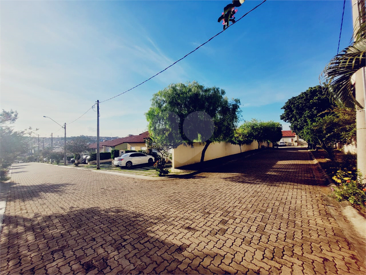 Foto REO1081974