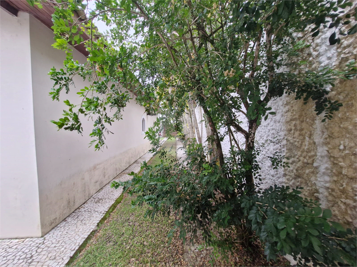 Foto REO1082010
