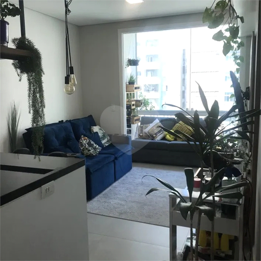 Foto REO1082019