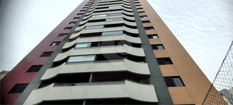 Foto REO1082140