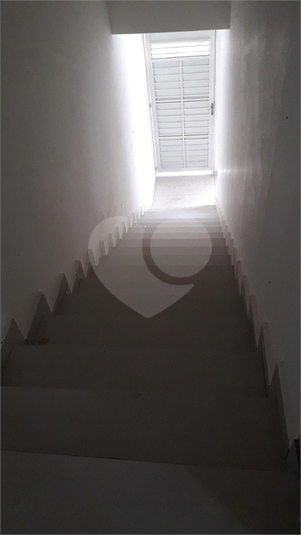 Foto REO1082147