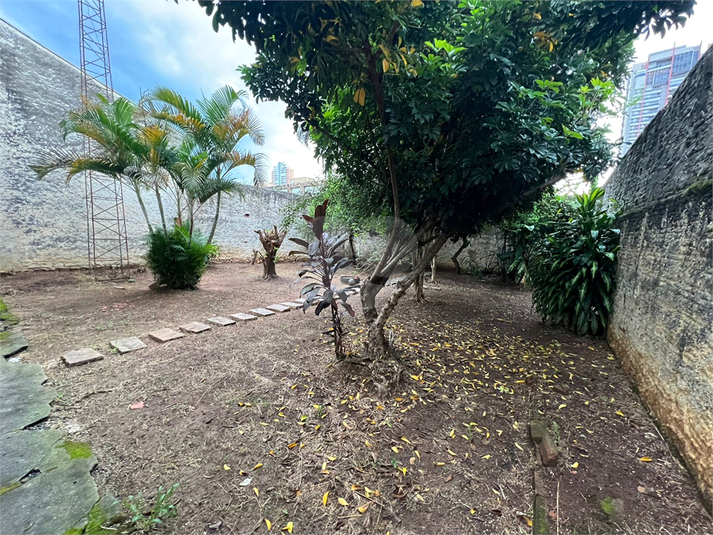 Foto REO1082150