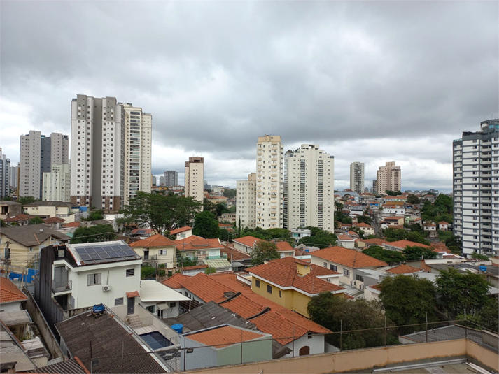 Foto REO1082153