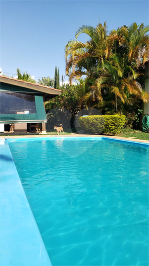 Foto REO1082214