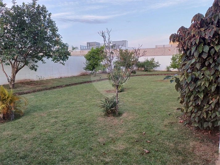 Foto REO1082218