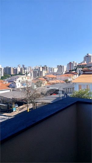 Foto REO1082224