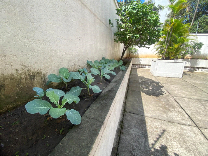 Foto REO1082227