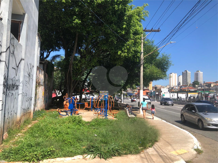 Foto REO1082231