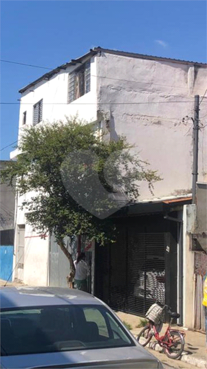 Foto REO1082231