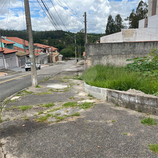 Foto REO1082263