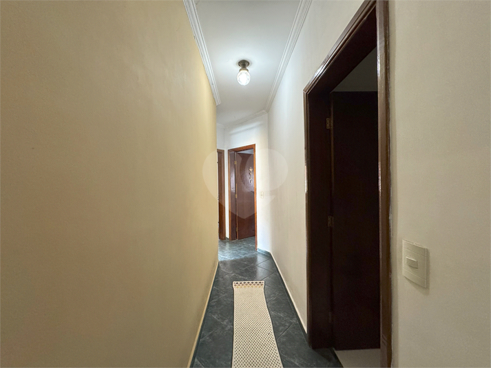 Foto REO1082267