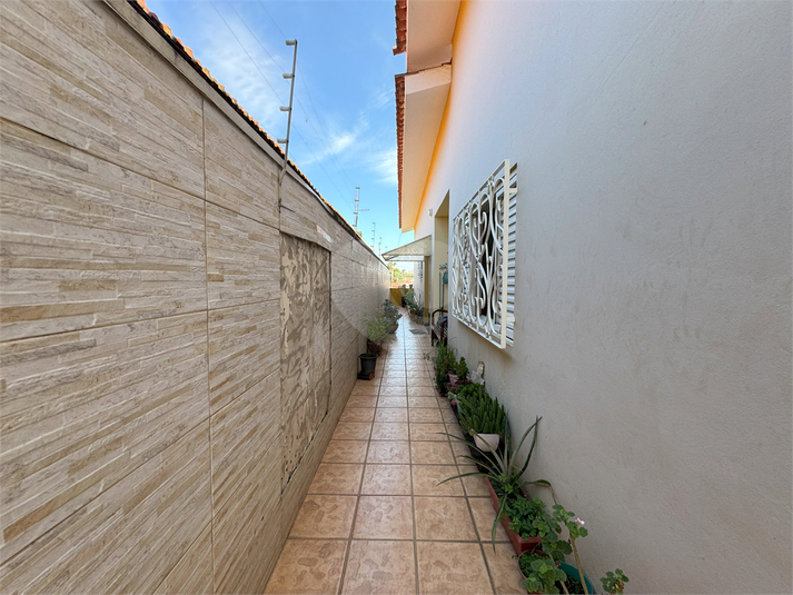 Foto REO1082267