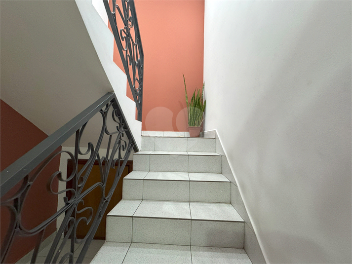 Foto REO1082267