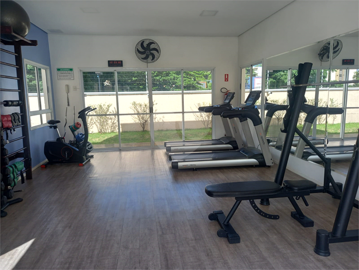 Foto REO1082277