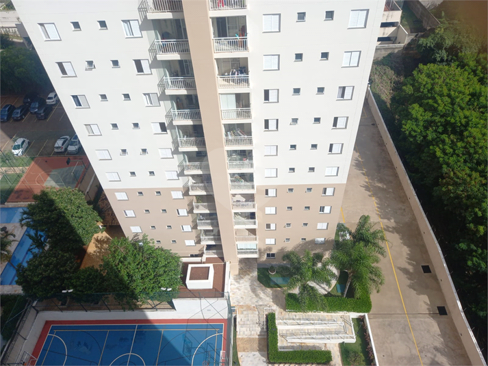 Foto REO1082277