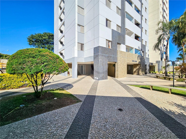Foto REO1082279