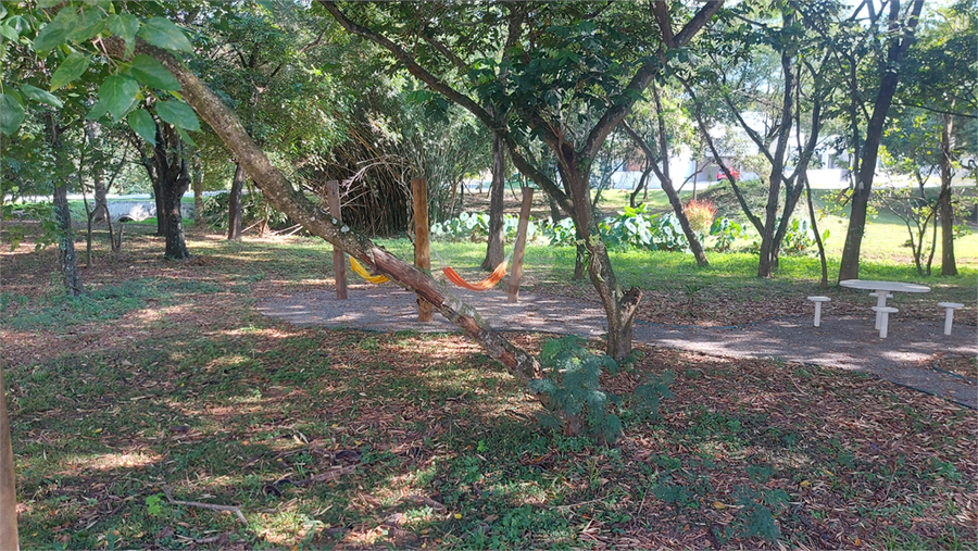 Foto REO1082292