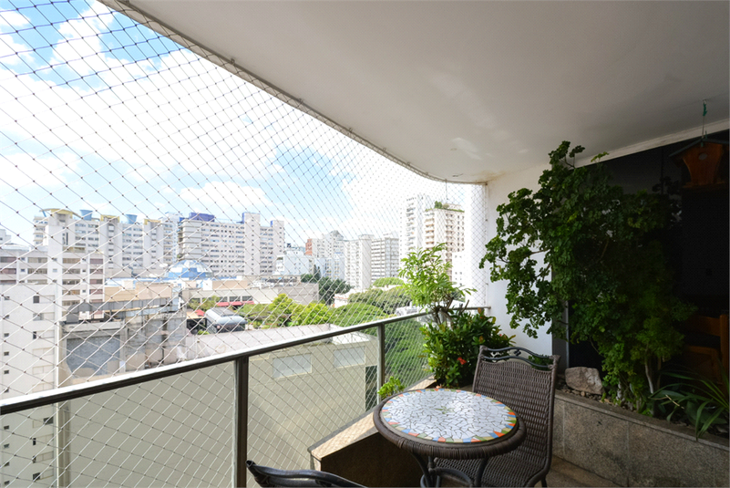Foto REO1082323