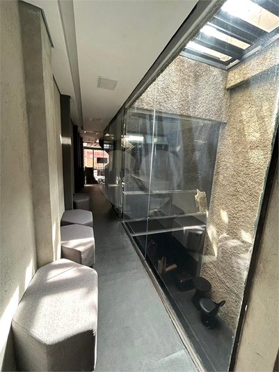 Foto REO1082335