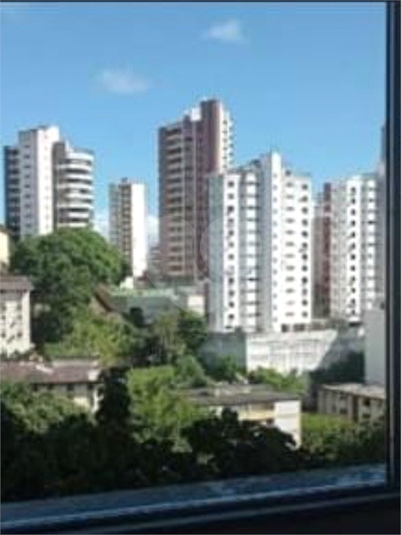 Foto REO1082357