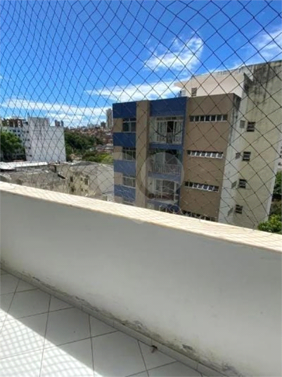 Foto REO1082357