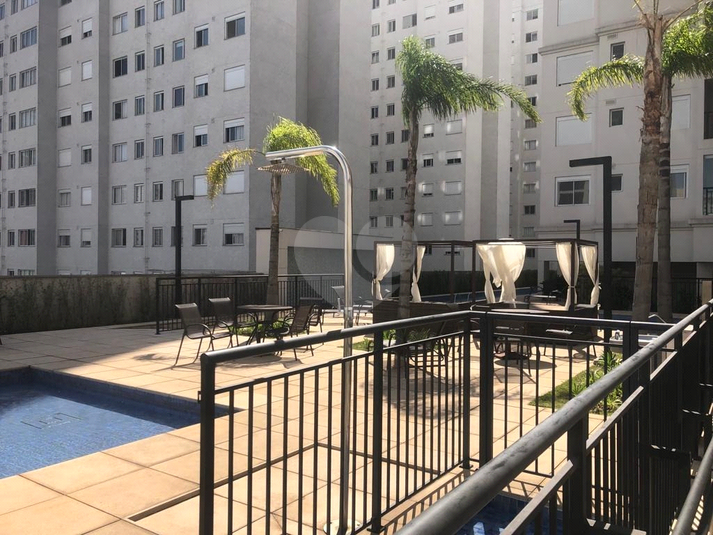 Foto REO1082362