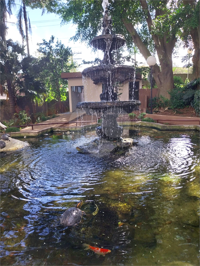 Foto REO1082377