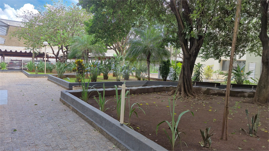 Foto REO1082403