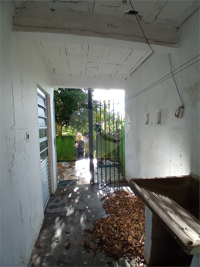 Foto REO1082411