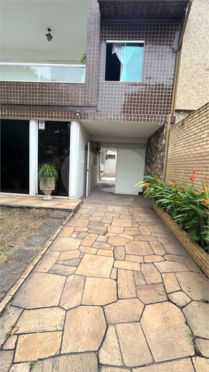 Foto REO1082444