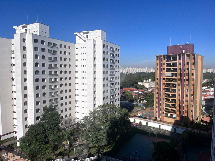 Foto REO1082454