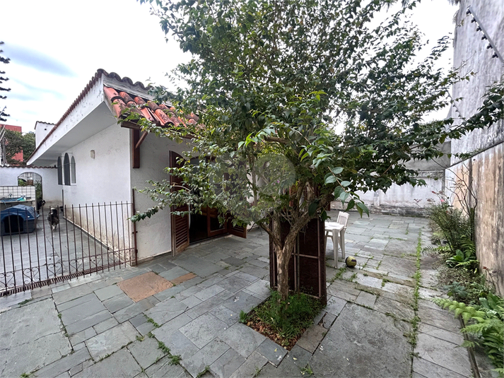Foto REO1082455