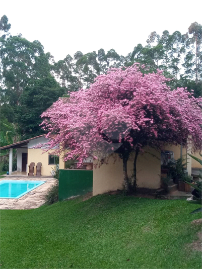 Foto REO1082462