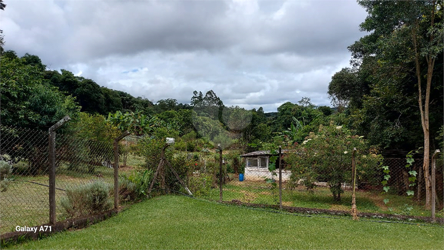 Foto REO1082462