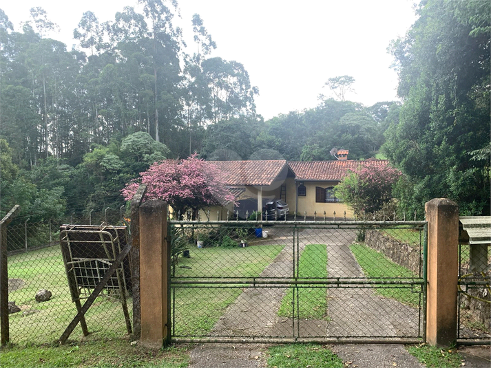 Foto REO1082462