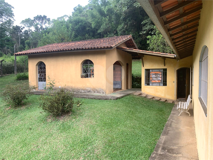 Foto REO1082462