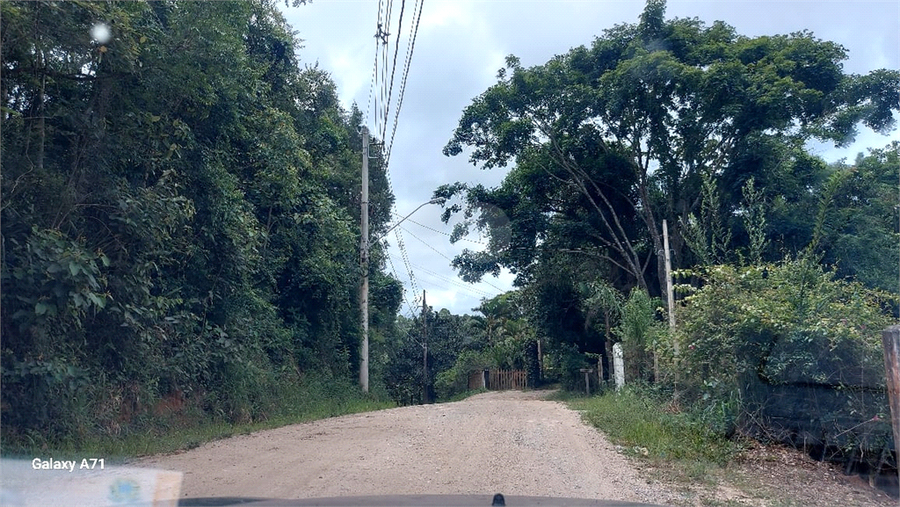 Foto REO1082462
