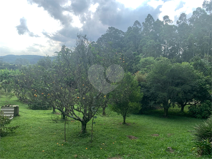 Foto REO1082462