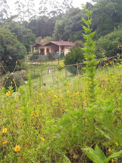 Foto REO1082462