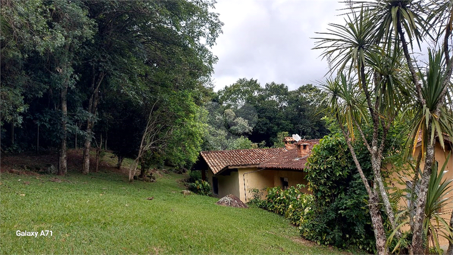 Foto REO1082462