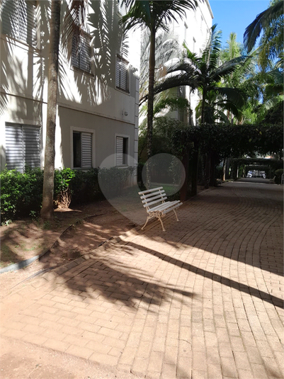 Foto REO1082463