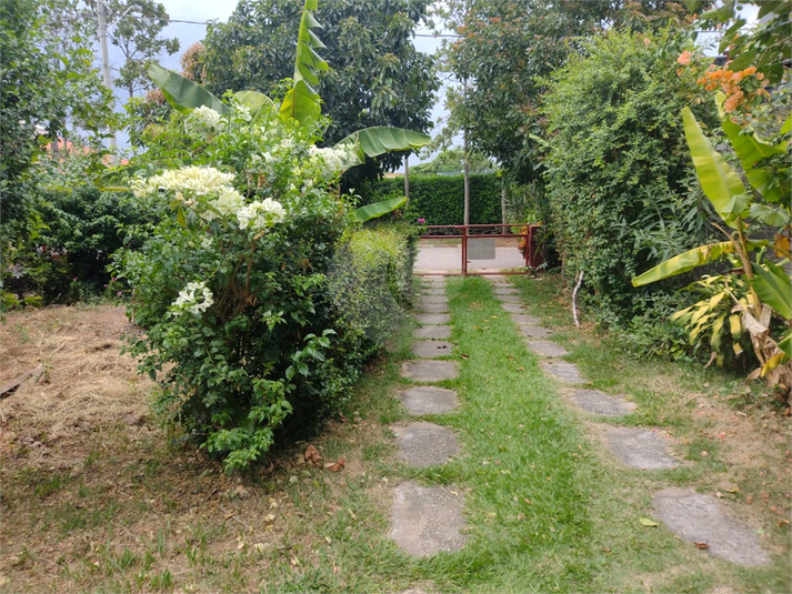 Foto REO1082486