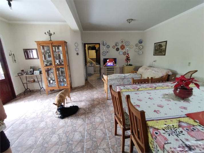 Foto REO1082486