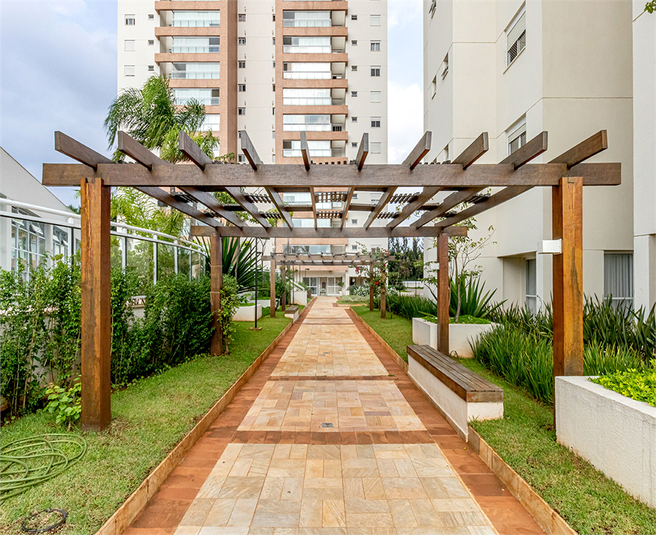 Foto REO1082488