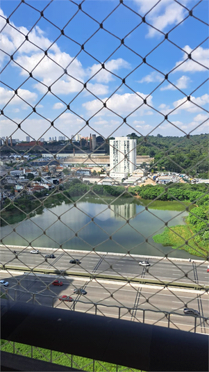 Foto REO1082498