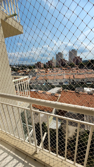 Foto REO1082502