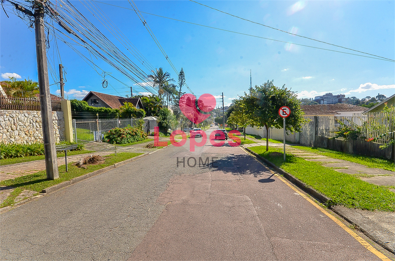 Foto REO1082505
