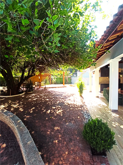 Foto REO1082511